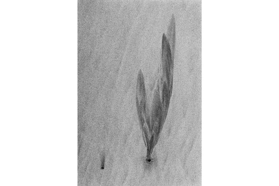 From Above-001